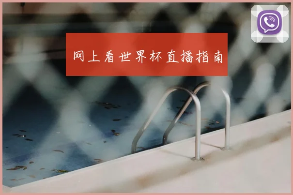 网上看世界杯直播指南