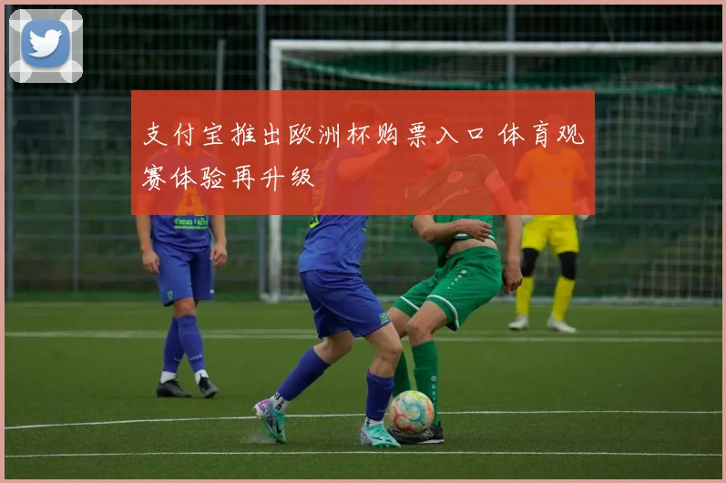 支付宝推出欧洲杯购票入口 体育观赛体验再升级