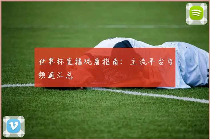 世界杯直播观看指南:主流平台与频道汇总