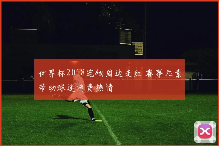 世界杯2018宠物周边走红 赛事元素带动球迷消费热情