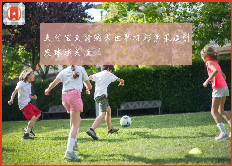 支付宝支持购买世界杯彩票渠道引发球迷关注_1