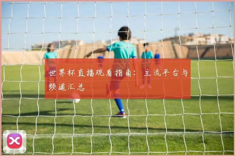 世界杯直播观看指南：主流平台与频道汇总