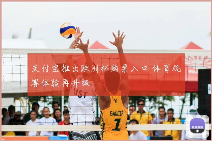 支付宝推出欧洲杯购票入口 体育观赛体验再升级