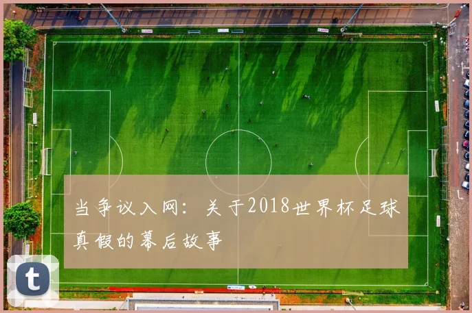 当争议入网：关于2018世界杯足球真假的幕后故事