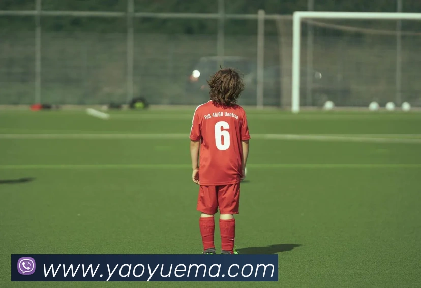 世界杯开户平台平台生态图